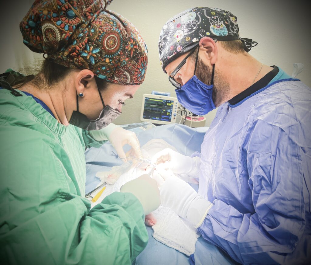 Dr. Sierra LaBrecque and Dr. Juan Pablo Romero performing an intestinal procedure together.